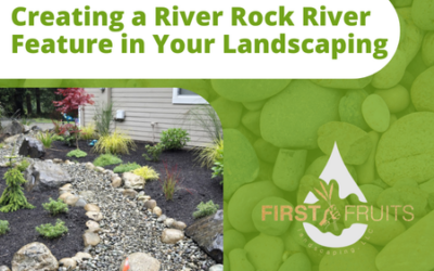 Creating a River Rock River Feature in Your Landscaping