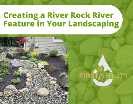 Creating a River Rock River Feature in Your Landscaping