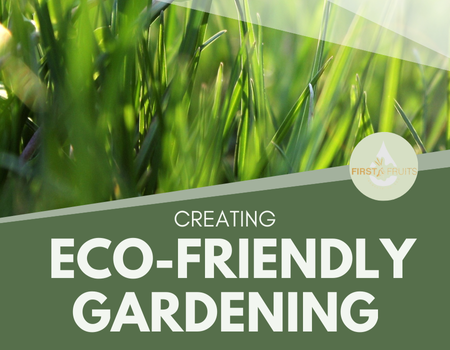 Creating Eco-Friendly Gardening