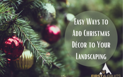 Easy Ways to Add Christmas Décor to Your Landscaping