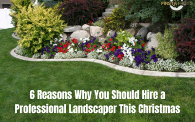 6 Reasons Why You Should Hire a Professional Landscaper This Christmas