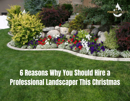 6 Reasons Why You Should Hire a Professional Landscaper This Christmas