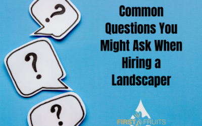 Common Questions You Might Ask When Hiring a Landscaper