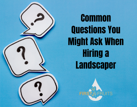 Common Questions You Might Ask When Hiring a Landscaper