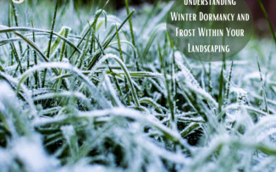 Understanding Winter Dormancy and Frost Within Your Landscaping