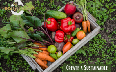 Create a Sustainable Vegetable Garden in 2025