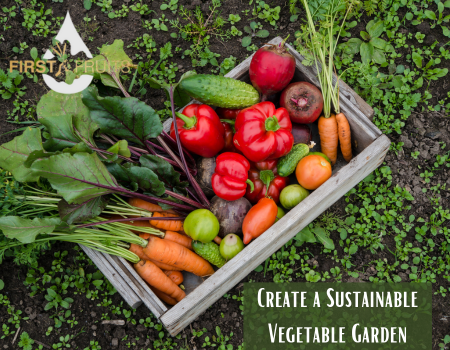 Create a Sustainable Vegetable Garden in 2025