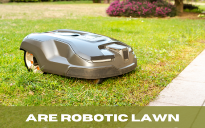 Are Robotic Lawn Mowers Worth It?