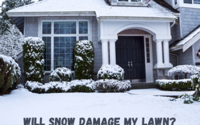 Will Snow Damage my Lawn?