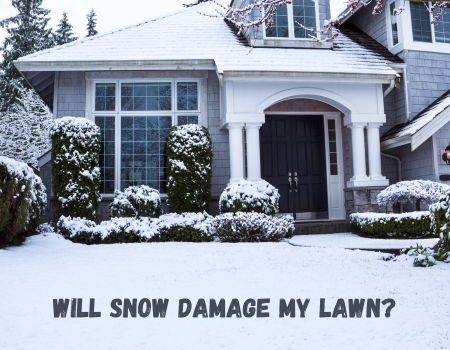 Will Snow Damage my Lawn?