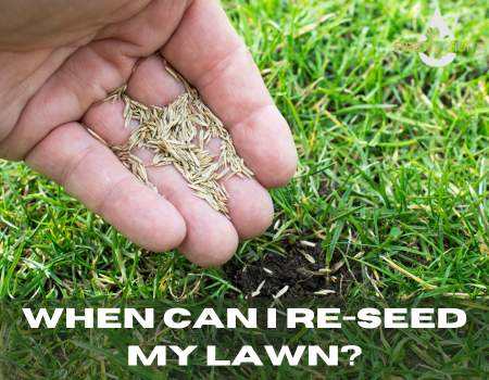 When Can I Re-Seed my Lawn?