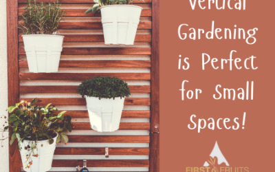 Vertical Gardening is Perfect for Small Spaces!