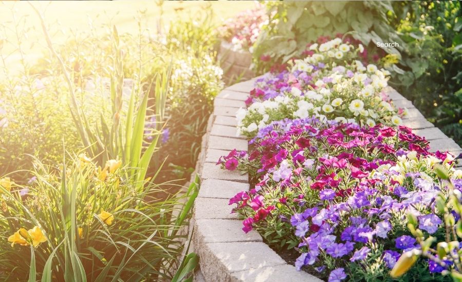 Add Color to Your Landscape