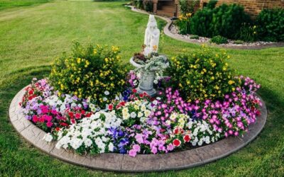 How Do You Add Color to Your Landscape and Keep It Looking Luxurious?