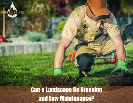 Can a Landscape Be Stunning and Low Maintenance?