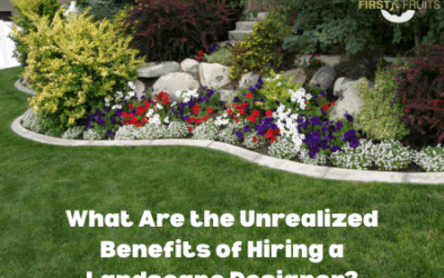 What Are the Unrealized Benefits of Hiring a Landscape Designer?