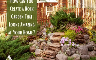 How Can You Create a Rock Garden That Looks Amazing at Your Home?