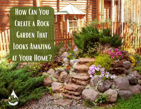 How Can You Create a Rock Garden That Looks Amazing at Your Home?