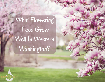 What Flowering Trees Grow Well In Western Washington?