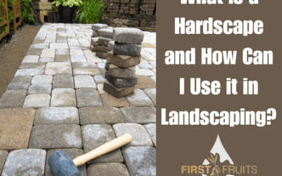 What is a Hardscape and How Can I Use it in Landscaping?