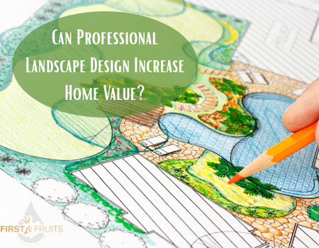 Can Professional Landscape Design Increase Home Value?