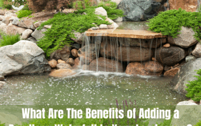 What Are The Benefits of Adding a Pondless Waterfall to Your Landscape?