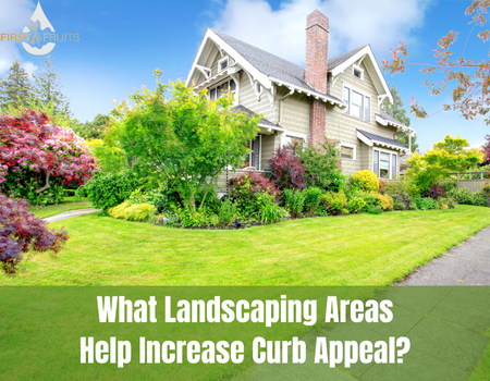 What Landscaping Areas Help Increase Curb Appeal?