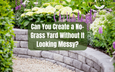 Can You Create a No-Grass Yard Without It Looking Messy?