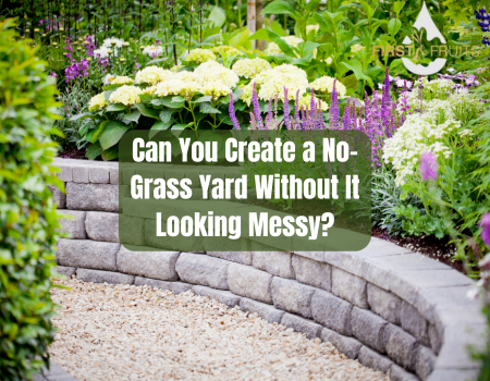 Can You Create a No-Grass Yard Without It Looking Messy?
