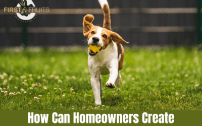 How Can Homeowners Create a Pet Safe Landscape?