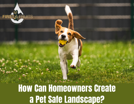 How Can Homeowners Create a Pet Safe Landscape?