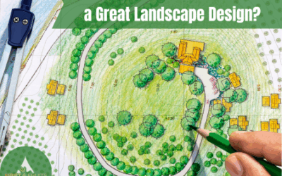 What Are the Basic Elements of a Great Landscape Design?