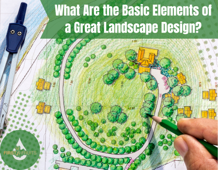 What Are the Basic Elements of a Great Landscape Design?