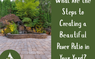 What Are the Steps to Creating a Beautiful Paver Patio in Your Yard?