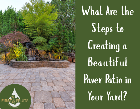 What Are the Steps to Creating a Beautiful Paver Patio in Your Yard?