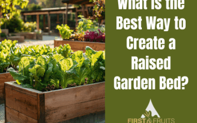 What is the Best Way to Create a Raised Garden Bed?