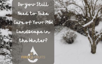 Do you Still Need to Take Care of Your PNW Landscape in the Winter?