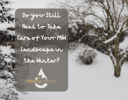 Do you Still Need to Take Care of Your PNW Landscape in the Winter?