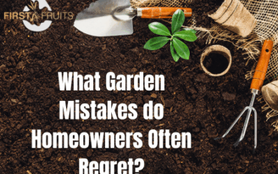 What Garden Mistakes do Homeowners Often Regret?