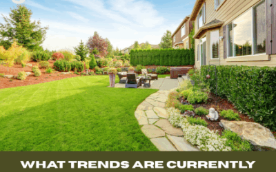 What Trends Are Currently Popular in Landscape Design?