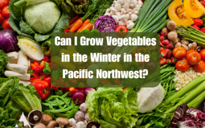Can I Grow Vegetables in the Winter in the Pacific Northwest?
