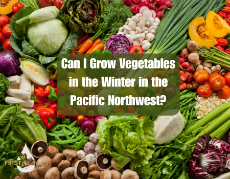 Can I Grow Vegetables in the Winter in the Pacific Northwest?