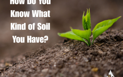 How Do You Know What Kind of Soil You Have?