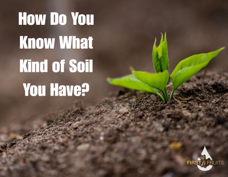 How Do You Know What Kind of Soil You Have?