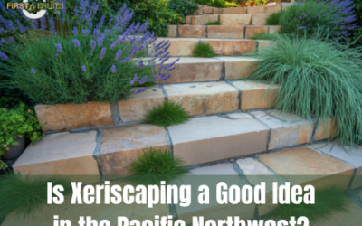 Is Xeriscaping a Good Idea in the Pacific Northwest?